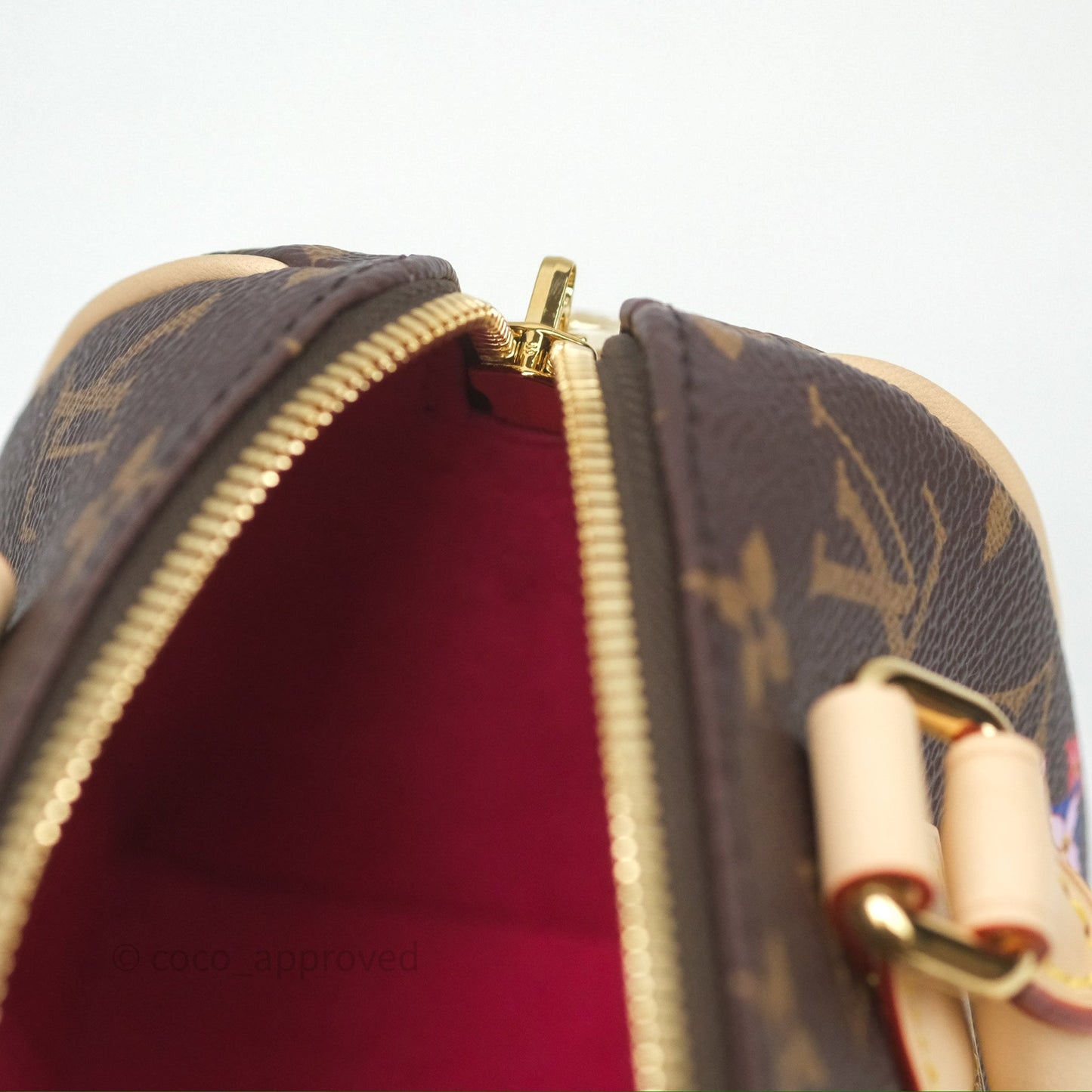 Louis Vuitton LV x Murakami Speedy Bandoulière 20 Monogram