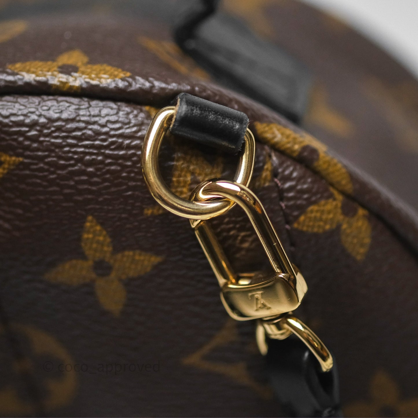 Louis Vuitton Monogram Mini Palm Springs Backpack⁣