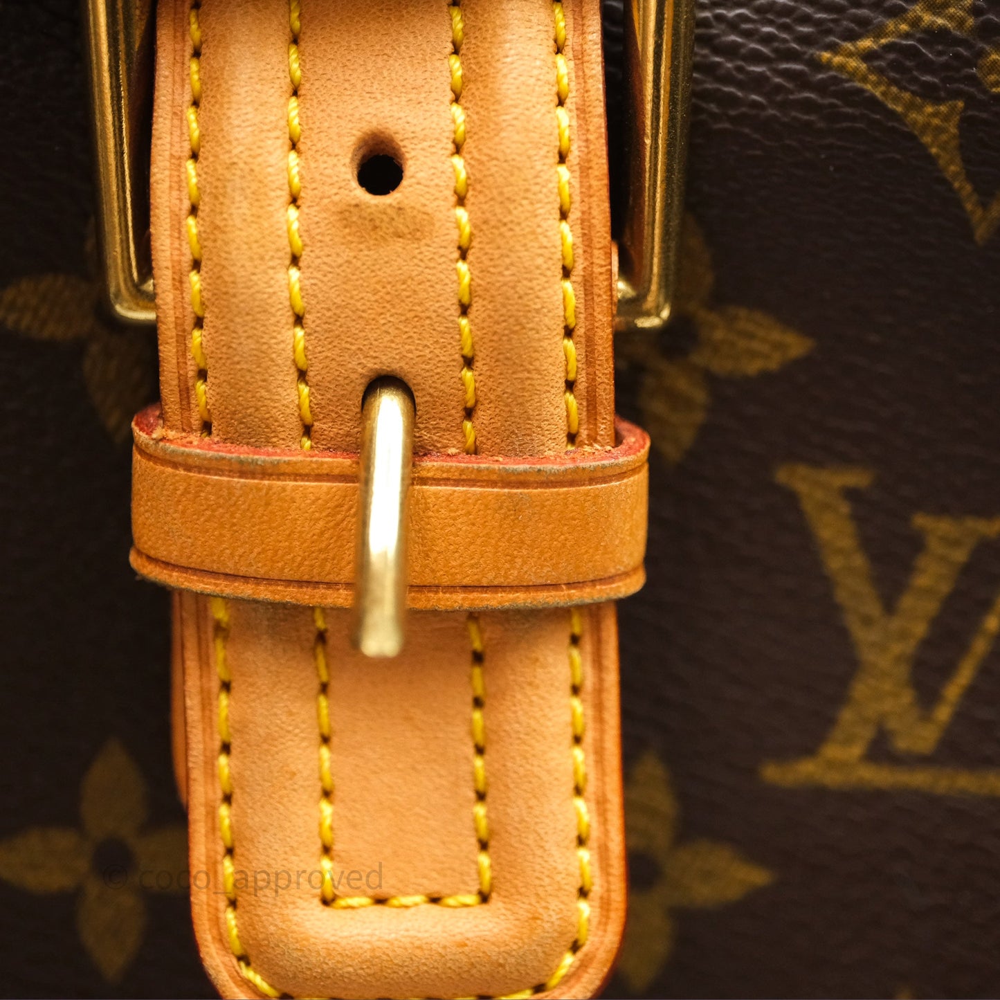 Louis Vuitton Multipli-Cite Tote Monogram Canvas