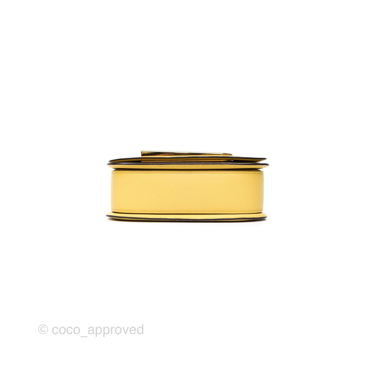 Delvaux Lingot Bag Pollen Alpina Calfskin