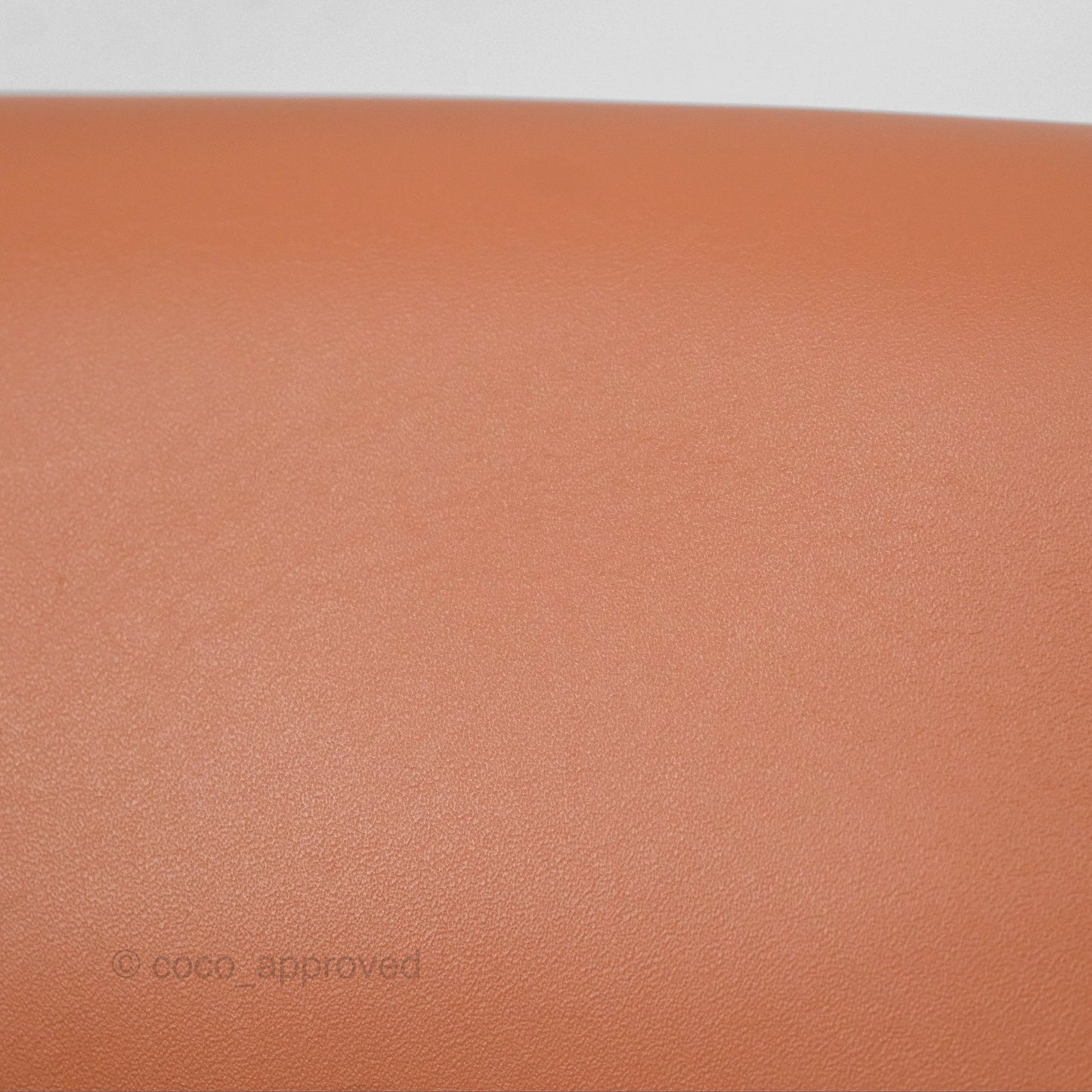 Loewe Small Raffia Gate Bag Smooth Calfskin in Tan