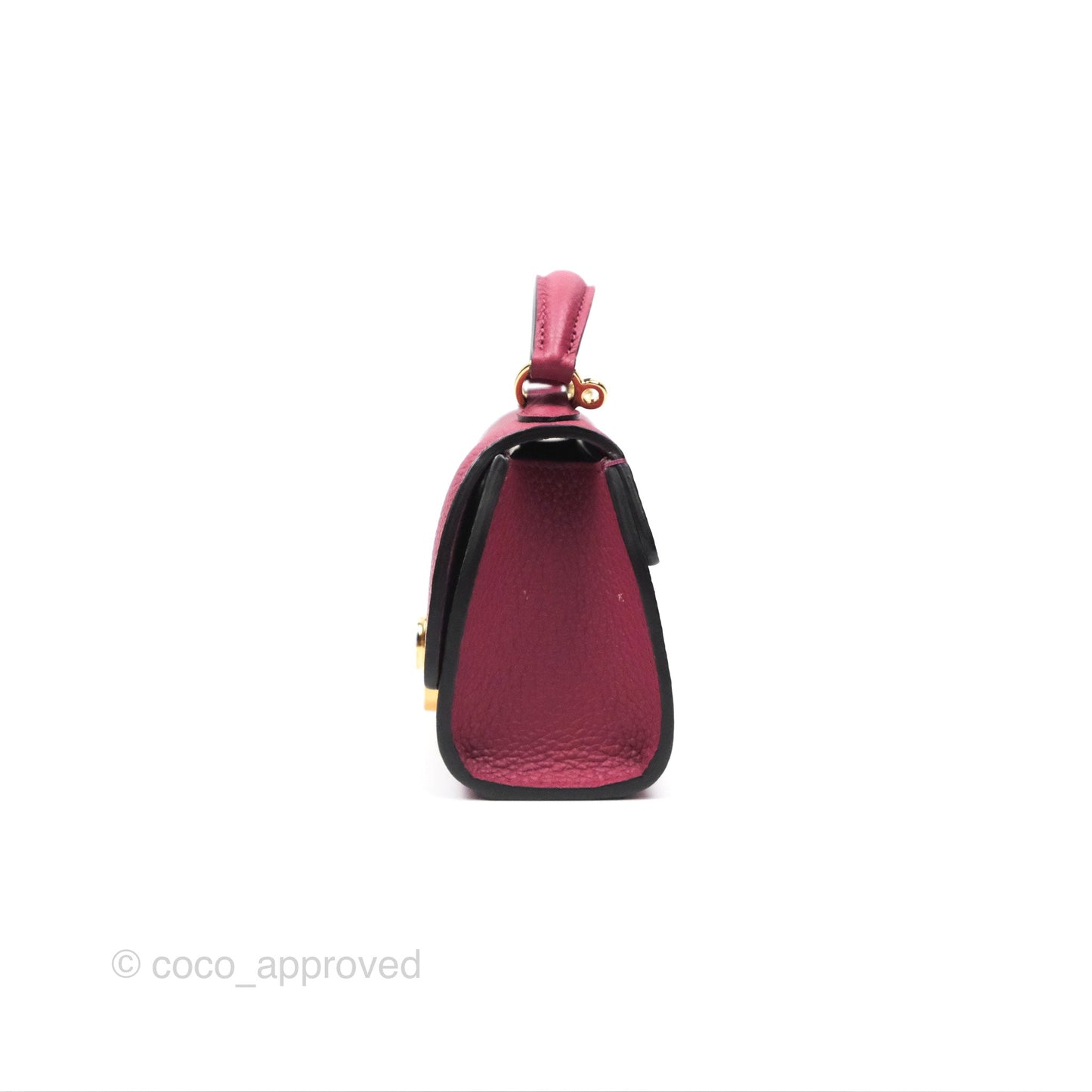 Moynat Réjane Nano Litchi Taurillon Blush Leather