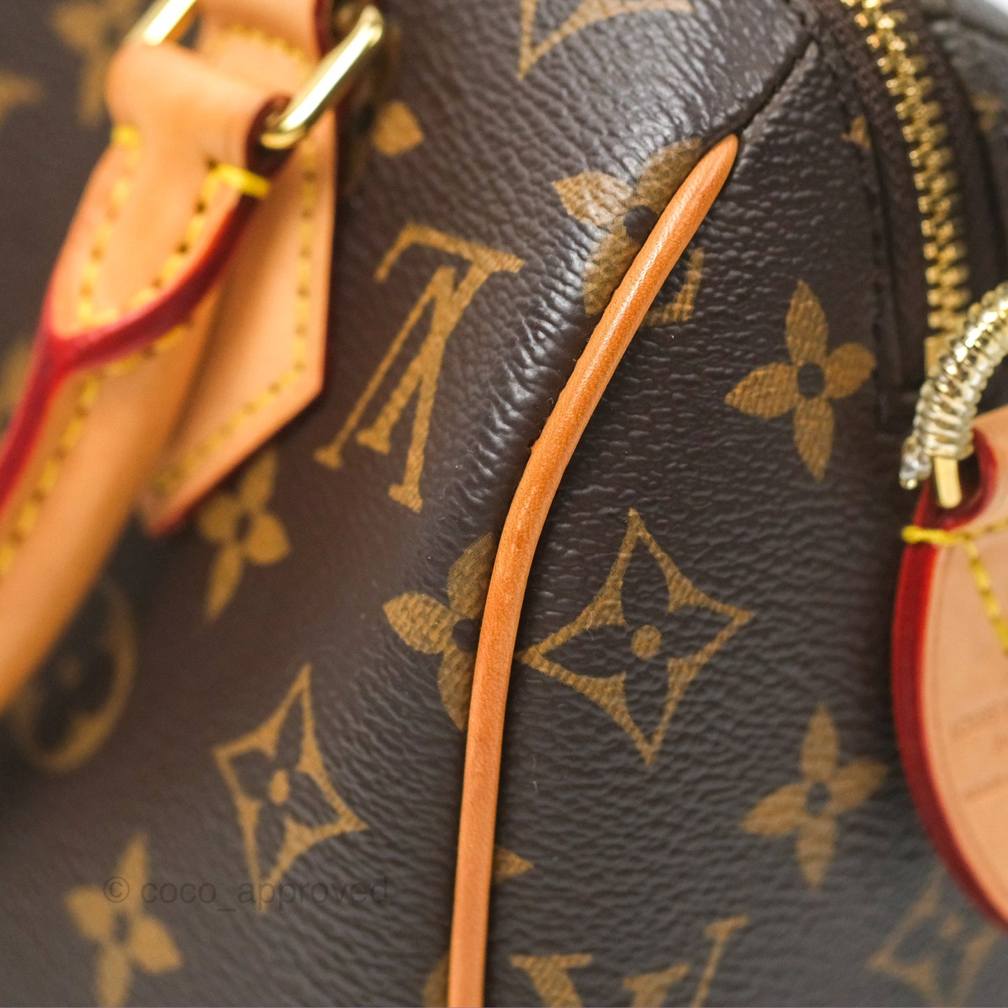 Louis Vuitton Speedy Bandoulière 20 Monogram