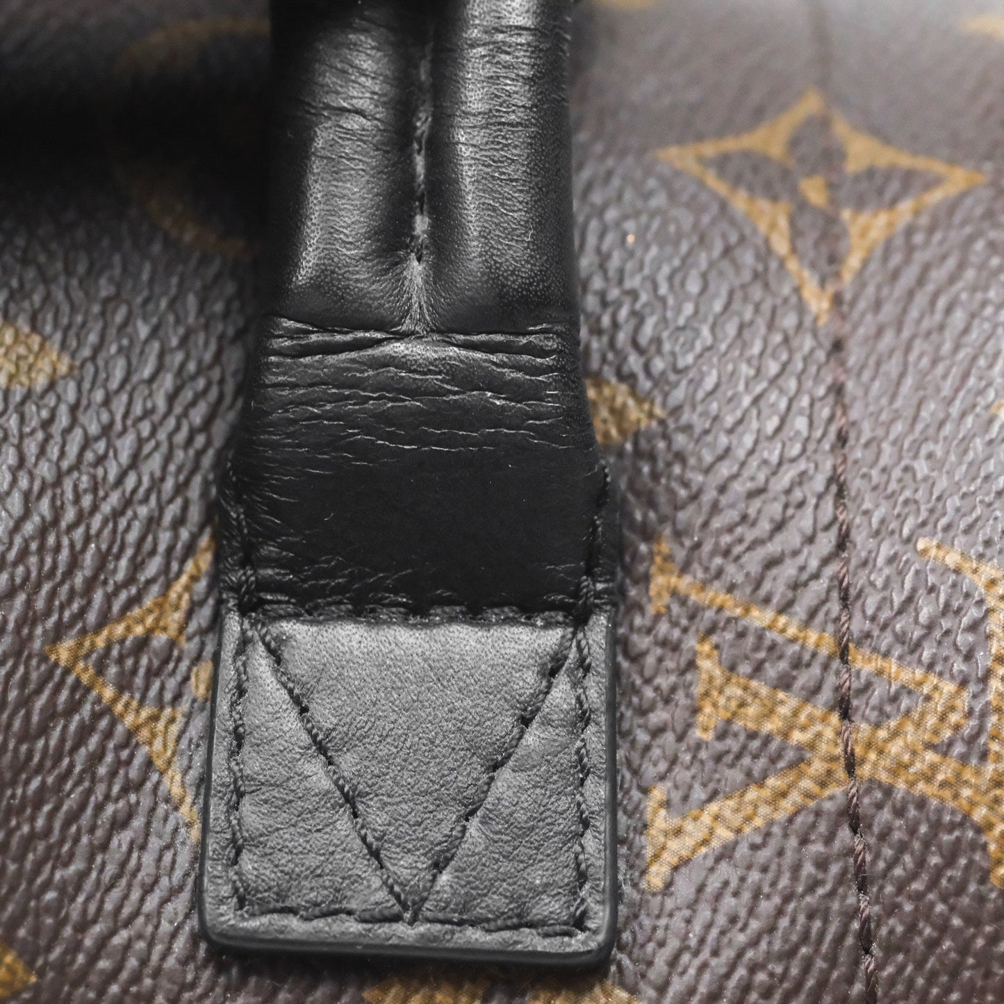 Louis Vuitton Mini Palm Springs Backpack⁣ Monogram