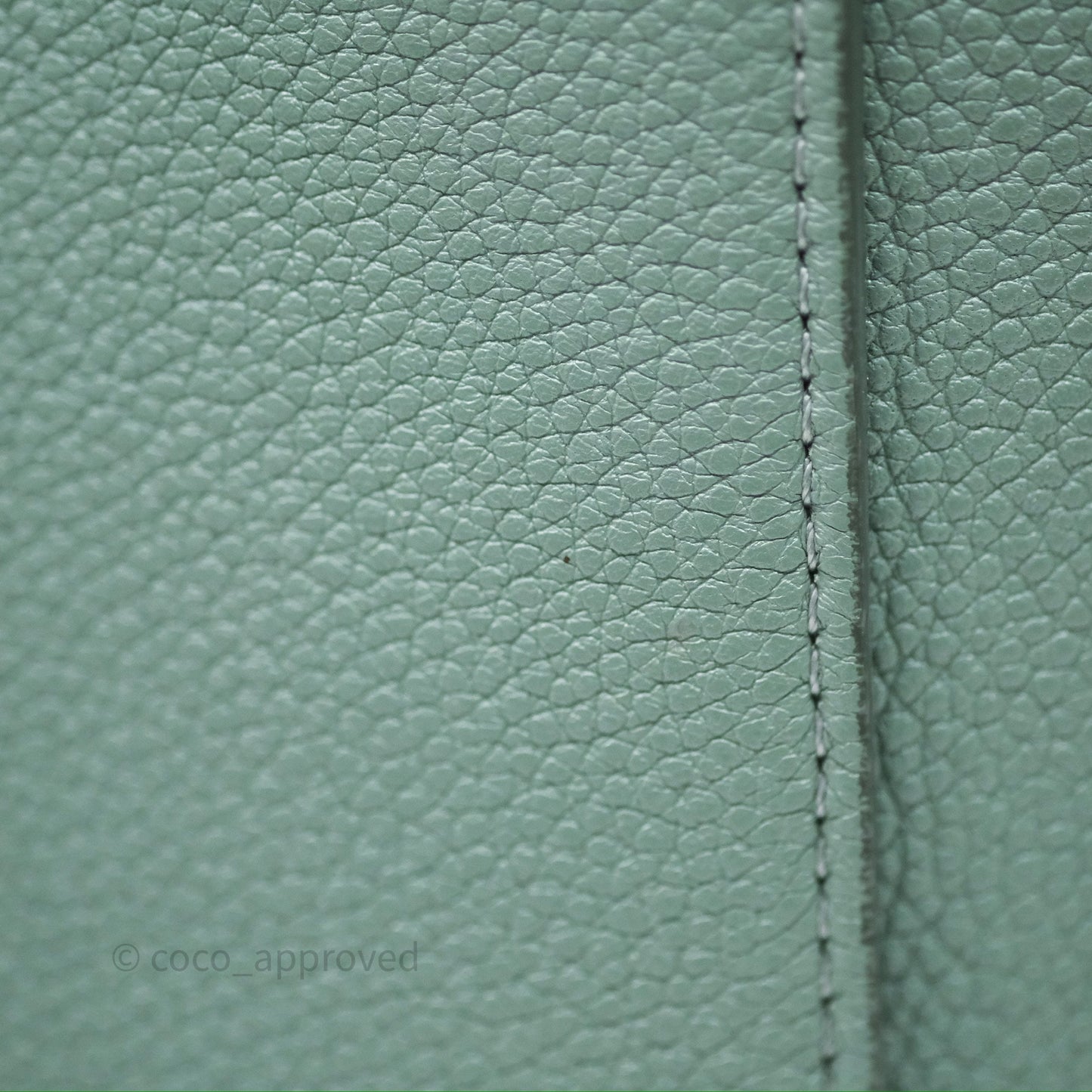 Celine Small Sangle Bucket Bag Light Green Celadon Grained Calfskin Silver Hardware
