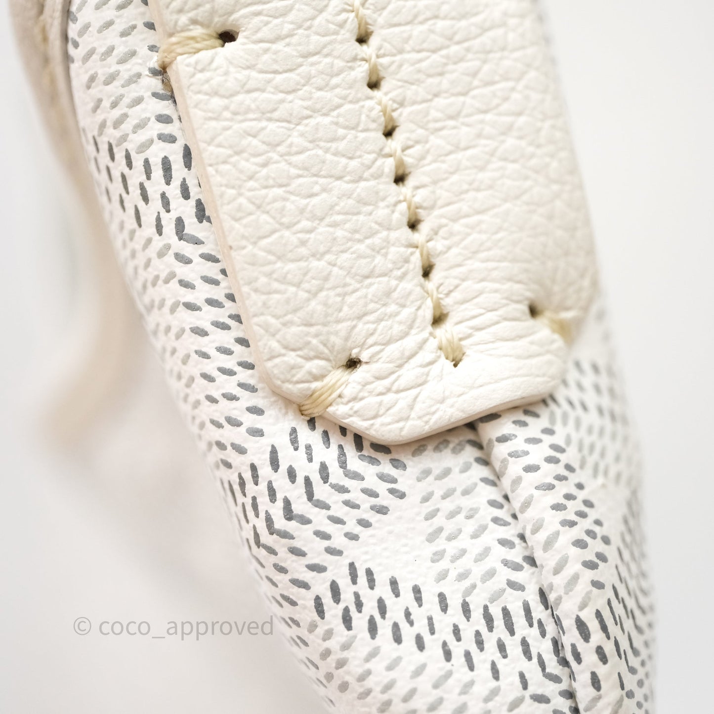Goyard Bohème Hobo Bag PM White Goyardine Canvas