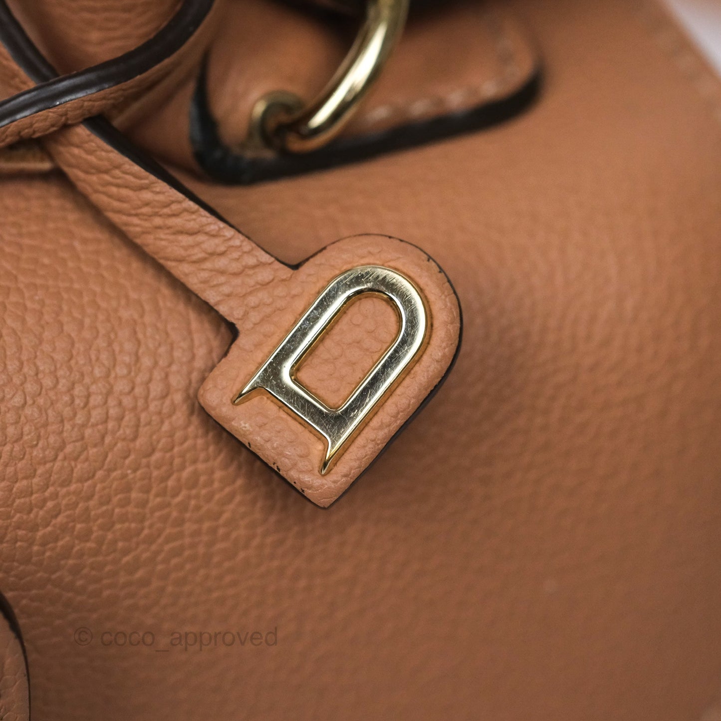 Delvaux Mini Brillant Bag Nude Grained Calfskin Gold Hardware