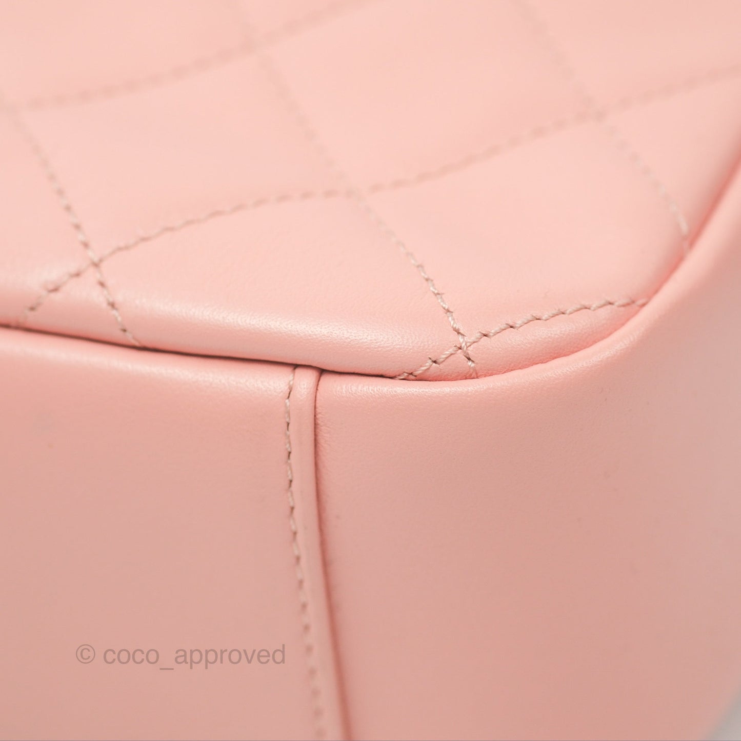 Chanel Logo Enchained Camera Bag Pink Calfskin Aged Gold Hardware