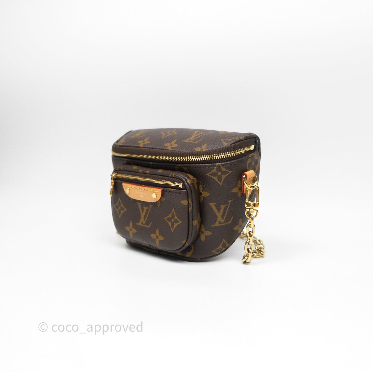 Louis Vitton Mini Bumbag in Monogram Canvas