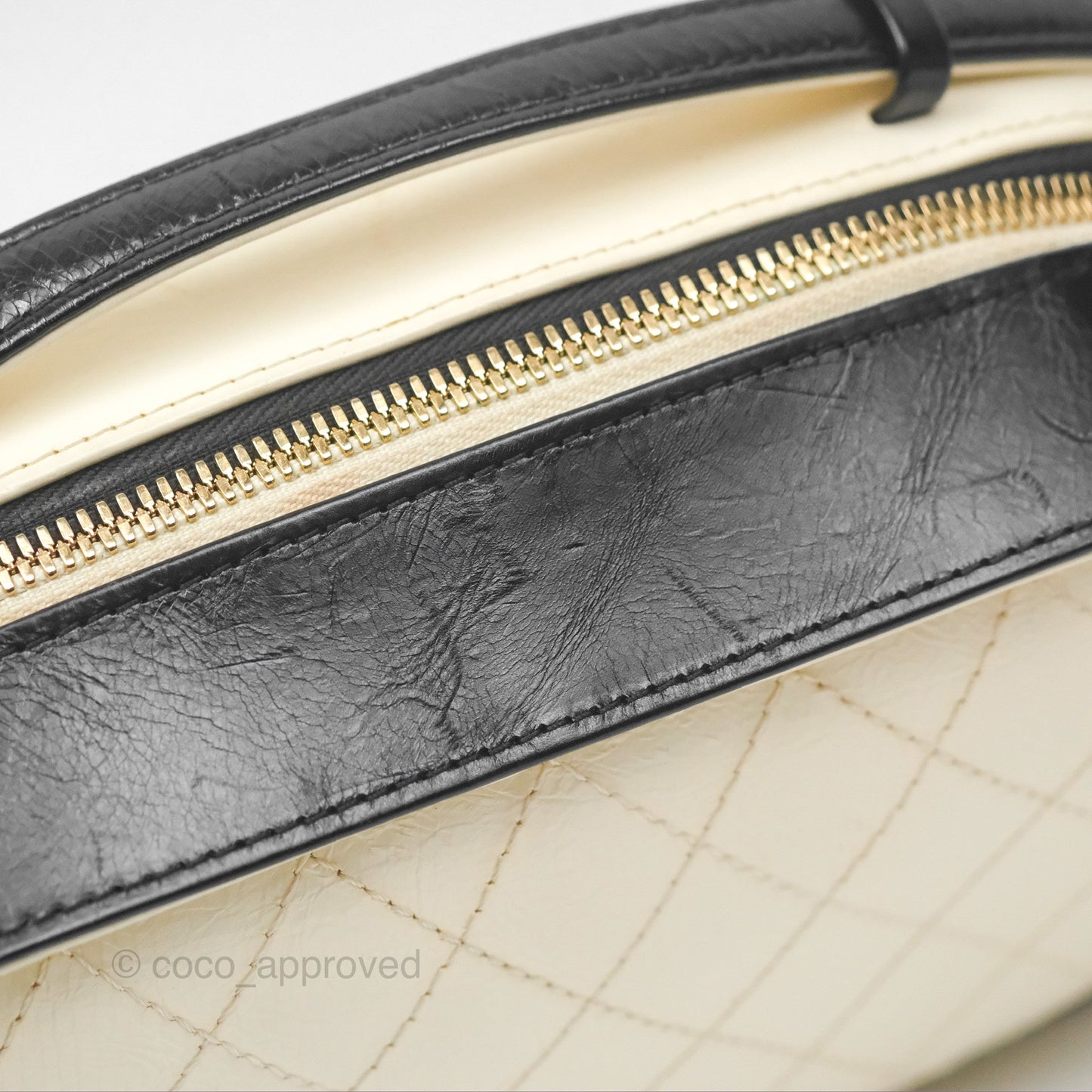 Chanel Camera Case Bag Black/White Calfskin Gold Hardware