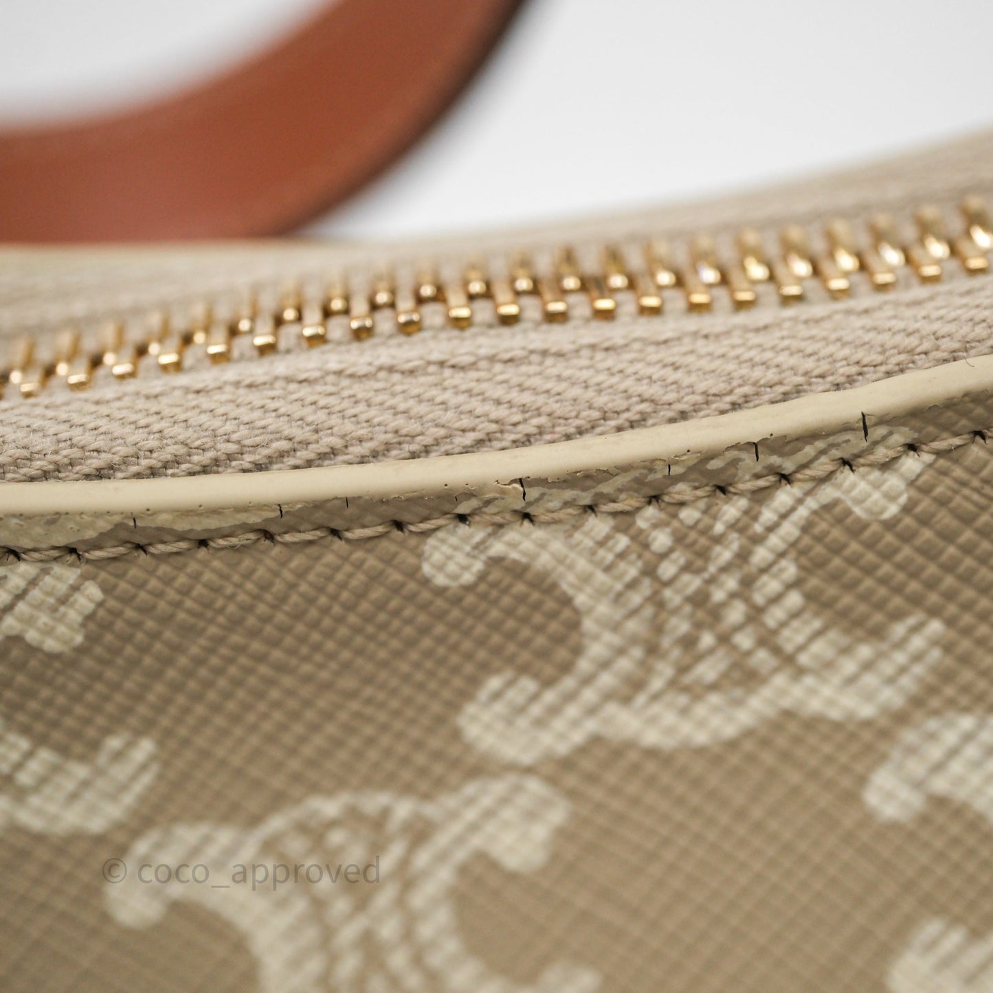 Celine Ava Bag In Triomphe Canvas Calfskin Grege