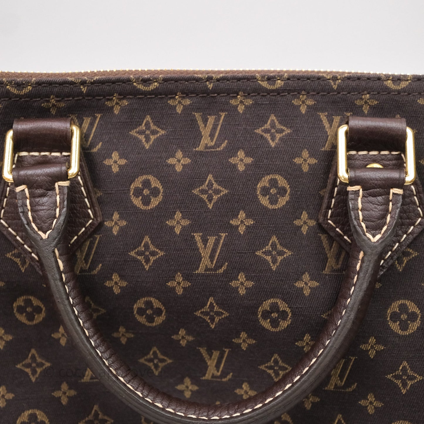 Louis Vuitton Speedy 30 Monogram Mini Lin