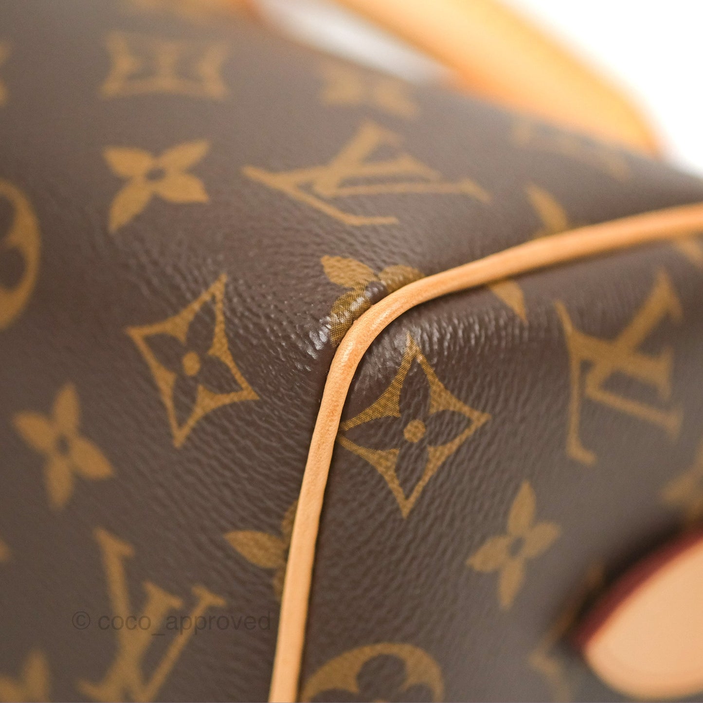 Louis Vuitton Speedy Bandoulière 20 Monogram