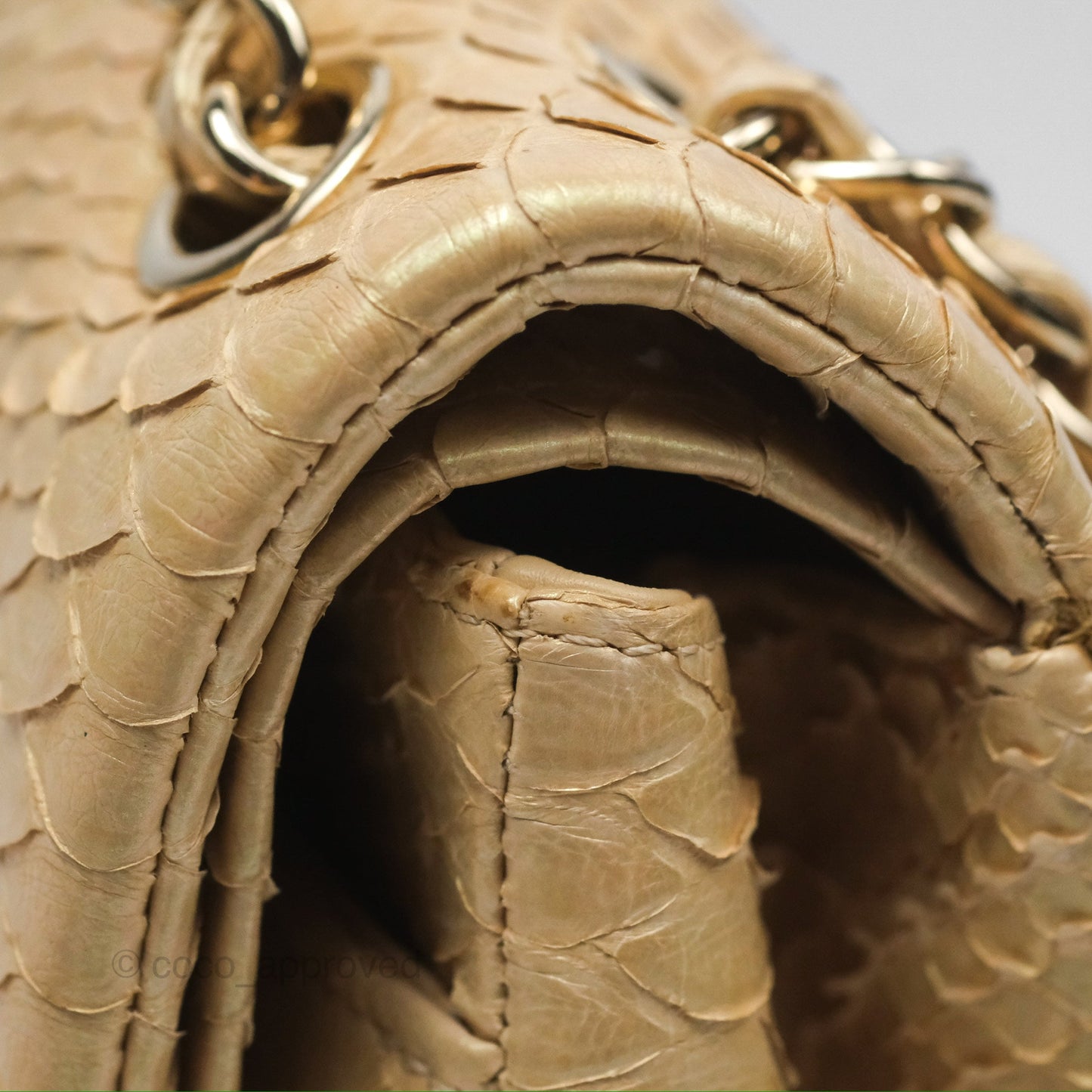 Chanel Jumbo Double Flap Iridescent Gold Python Gold Hardware⁣⁣