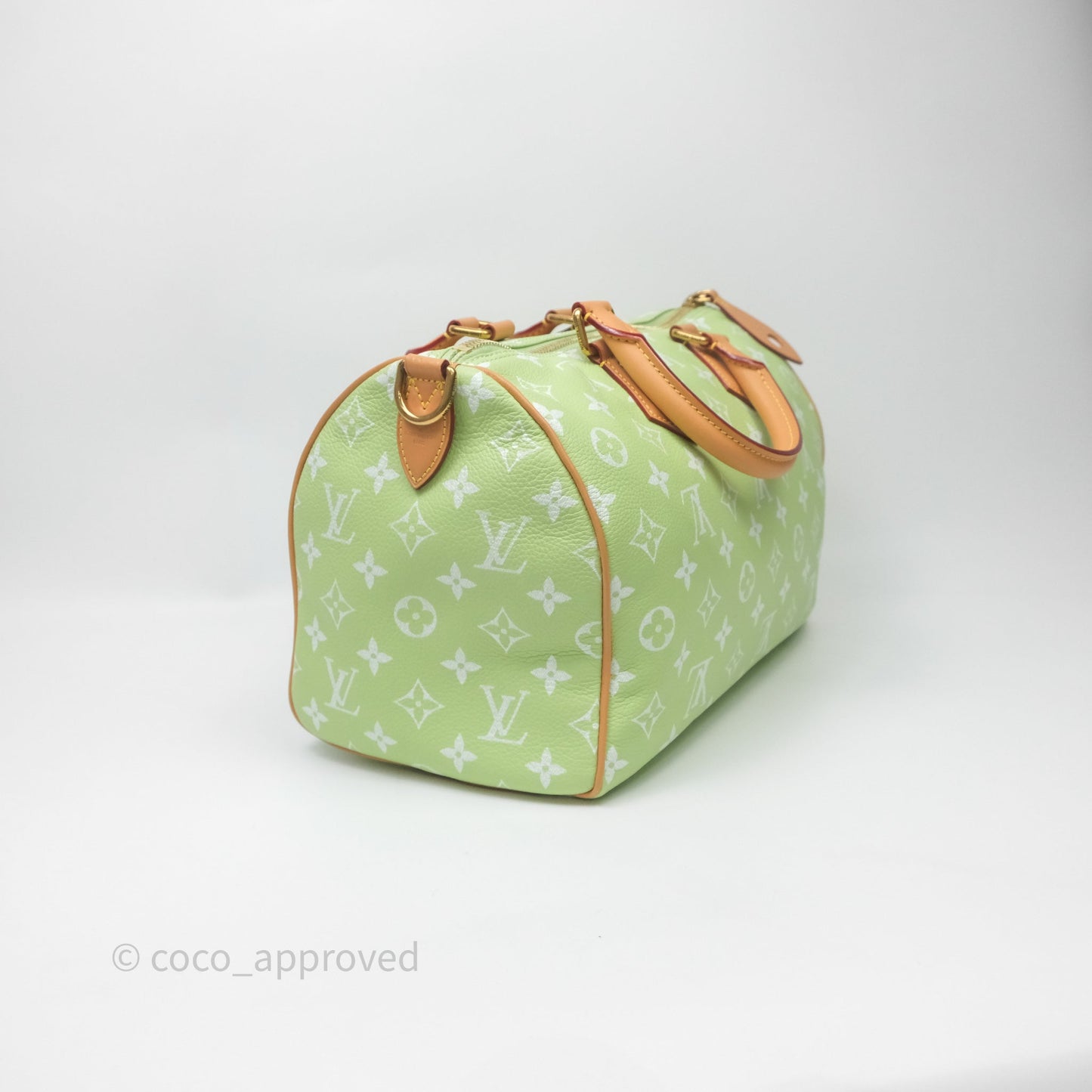 Louis Vuitton Speedy P9 Bandouliere 30 Vert Clair Bag