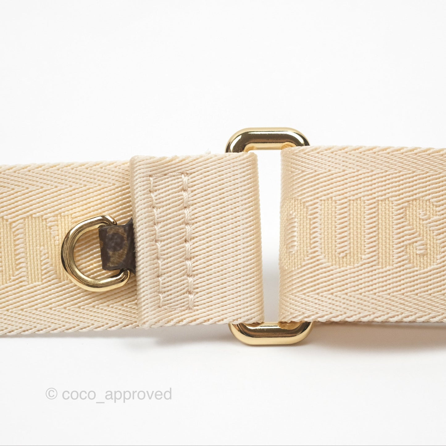 Louis Vuitton OnTheGo PM in Monogram Reverse Canvas