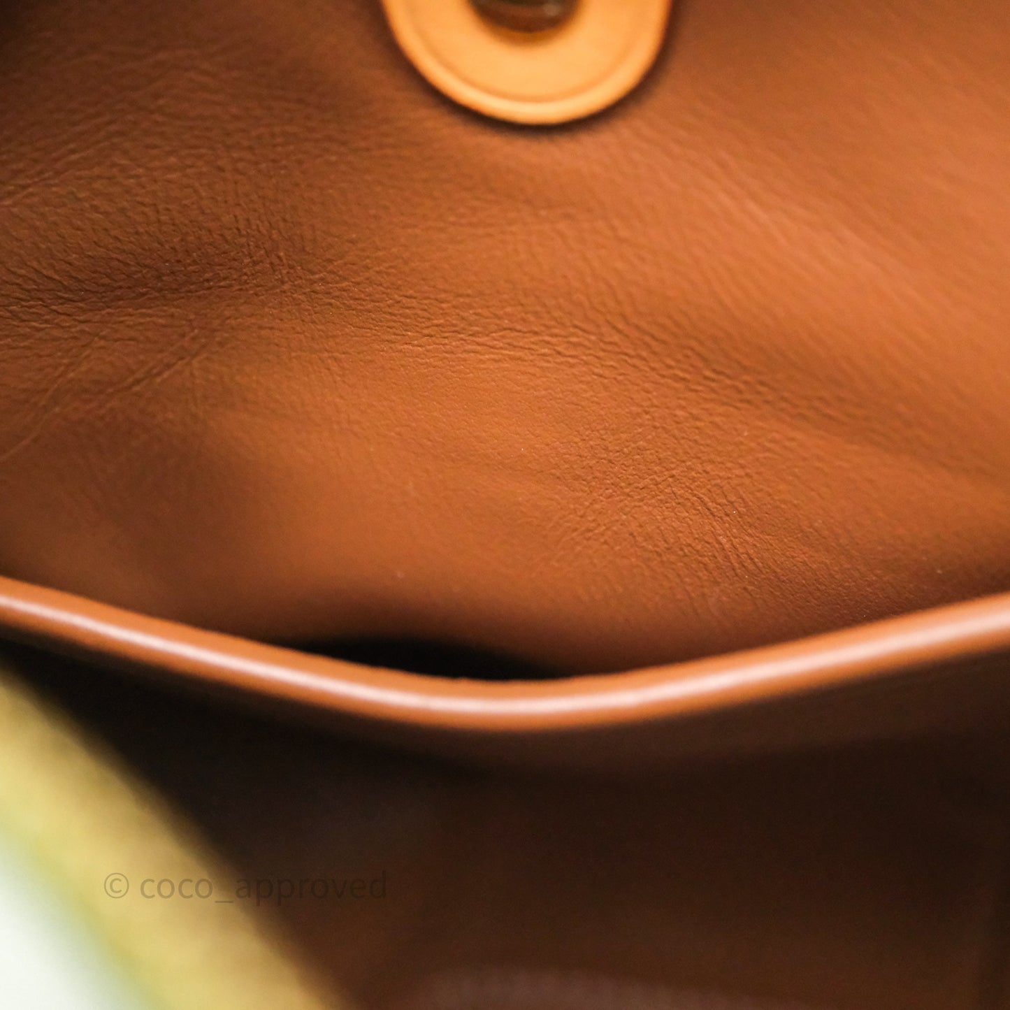 Louis Vuitton Speedy P9 Bandouliere 30 Vert Clair Bag