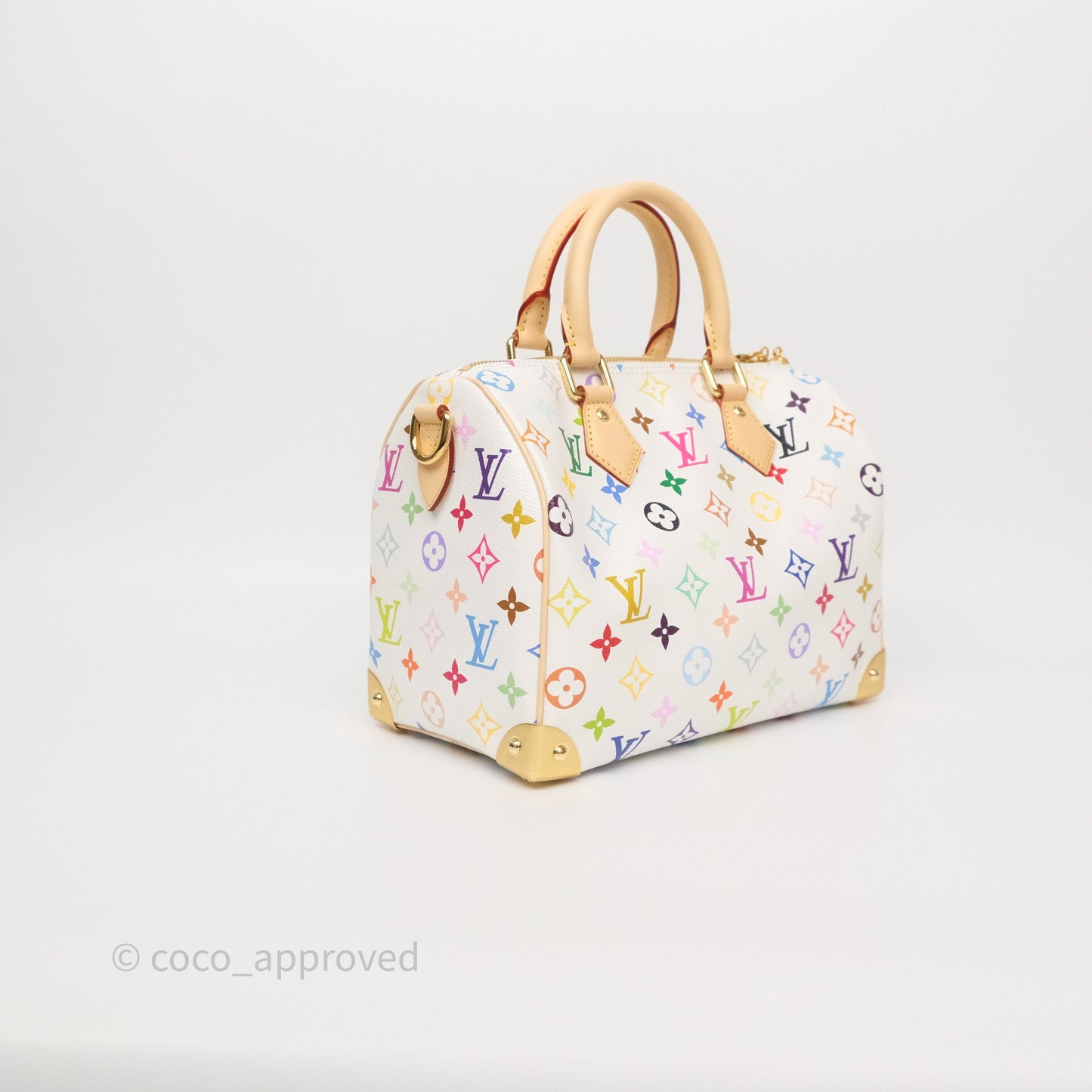 Louis Vuitton x TM Speedy Bandoulière 25