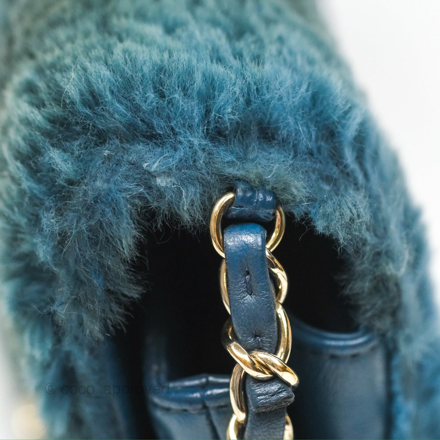 Chanel Top Handle Bag Green Blue Orylag Fur 17A