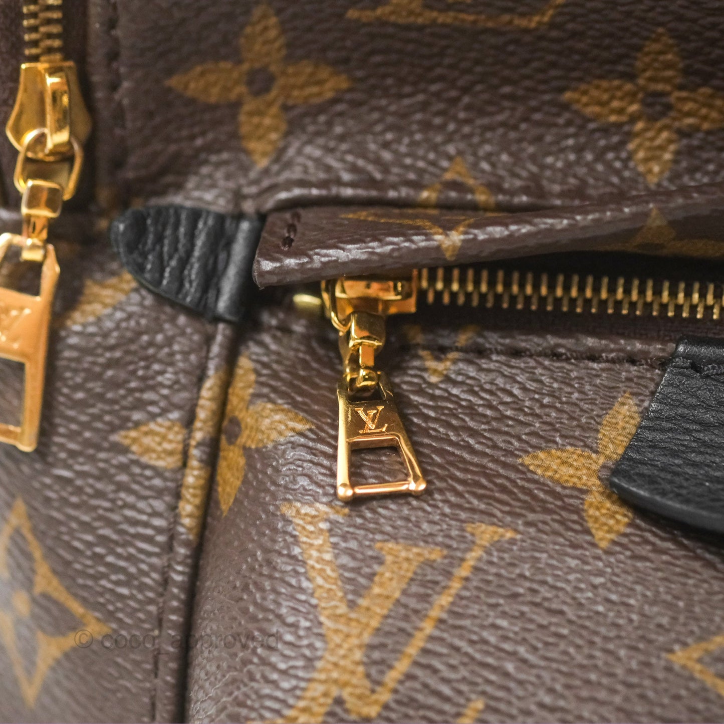 Louis Vuitton Mini Palm Springs Backpack⁣ Monogram
