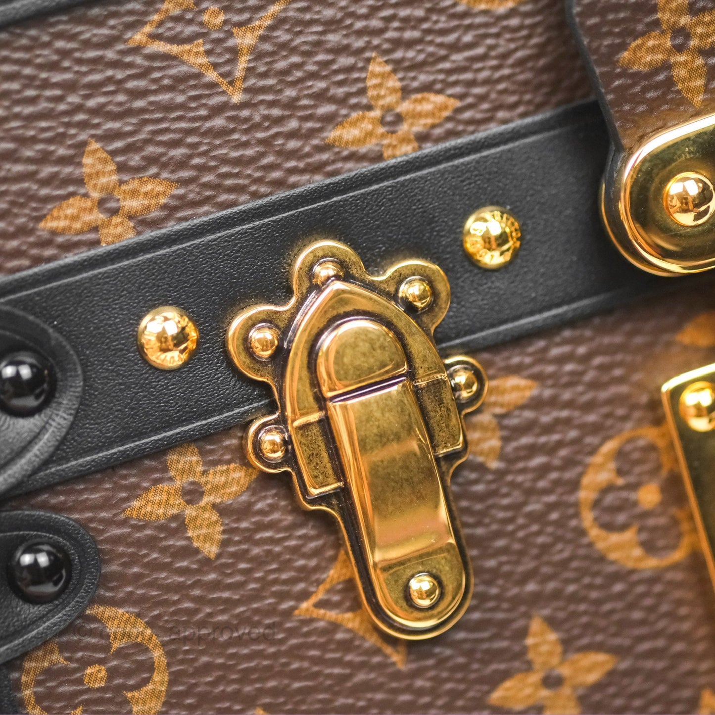 Louis Vuitton Monogram Petite Malle