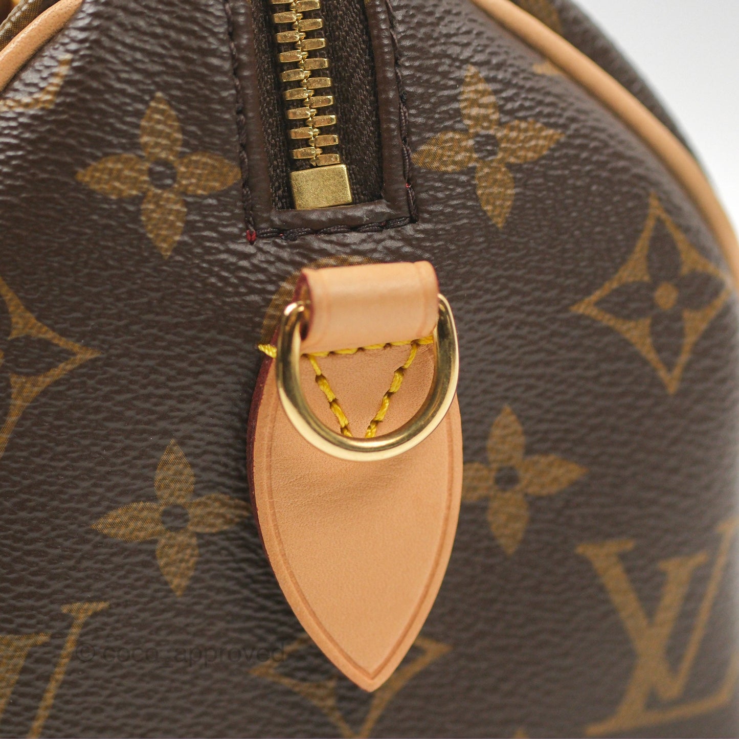 Louis Vuitton Speedy Bandoulière 20 Monogram