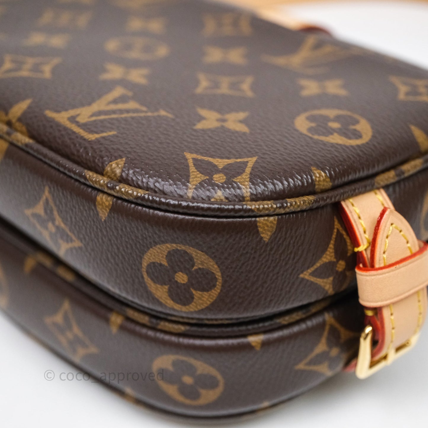 Louis Vuitton Saumur BB Monogram Bag Gold Hardware