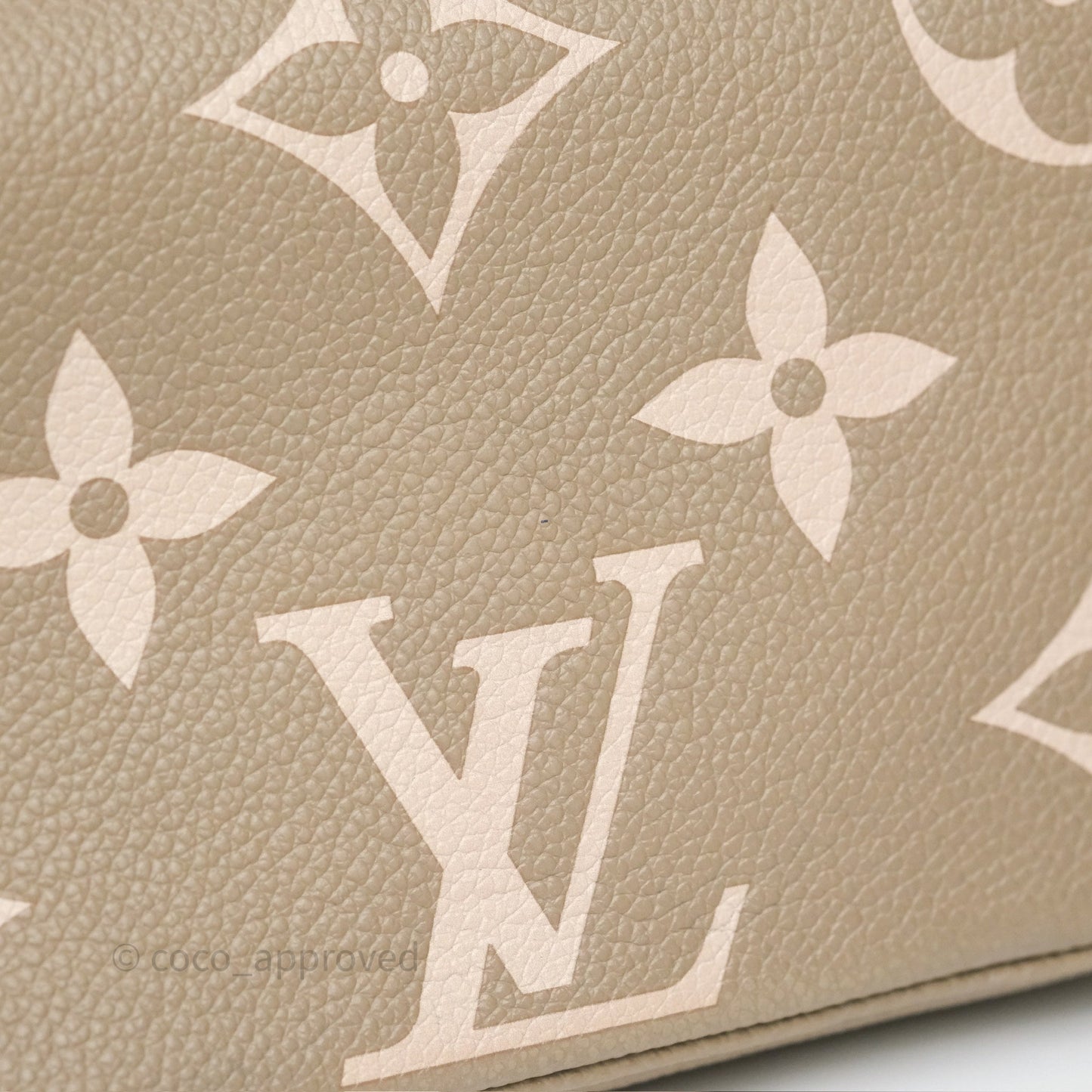 Louis Vuitton Ivy Wallet on Chain Monogram Empreinte Dove/Cream