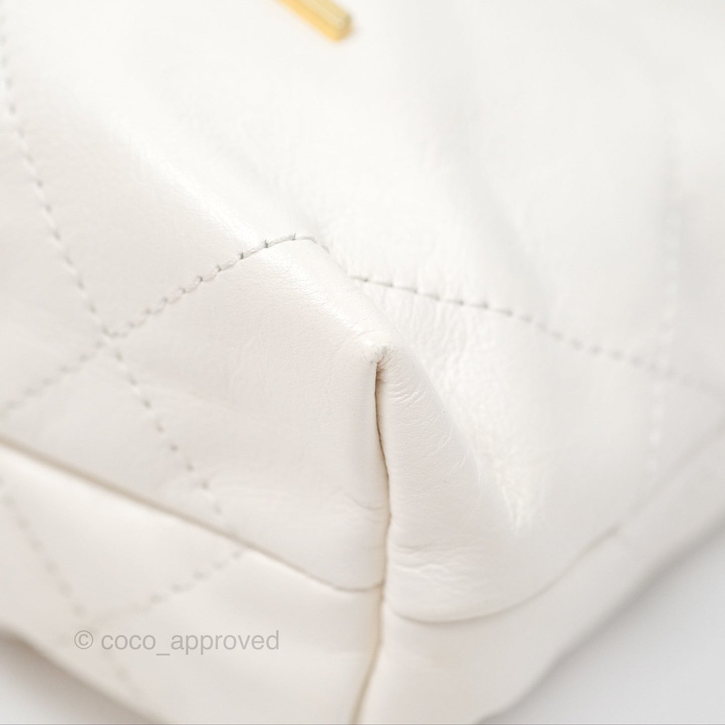 Chanel 22 Mini Bag White Crumpled Calfskin
