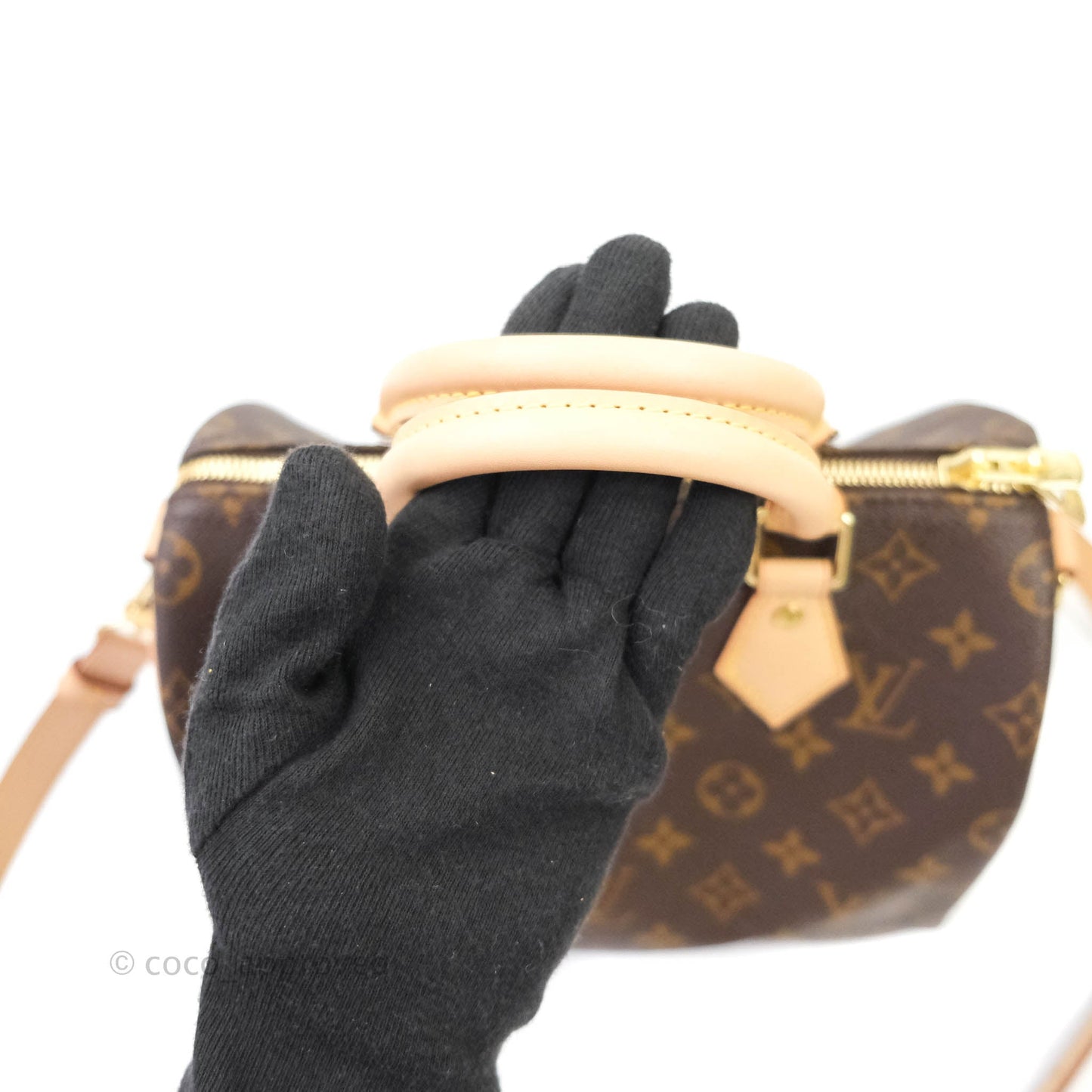 Louis Vuitton Monogram Canvas Speedy 25