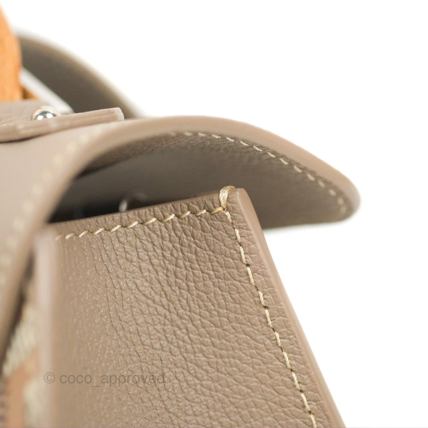 Goyard Saïgon Structuré Nano Bag Grege Silver Hardware