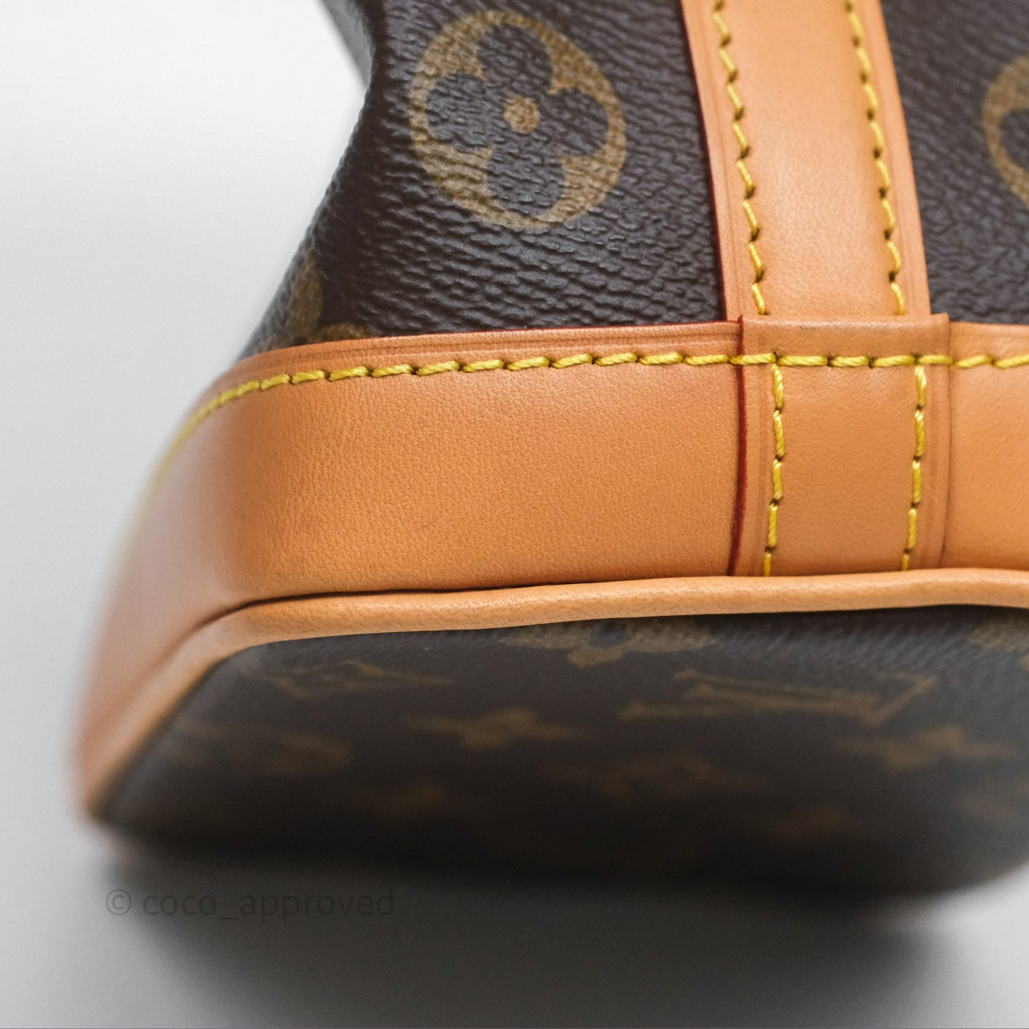 Louis Vuitton Nano Noe Monogram
