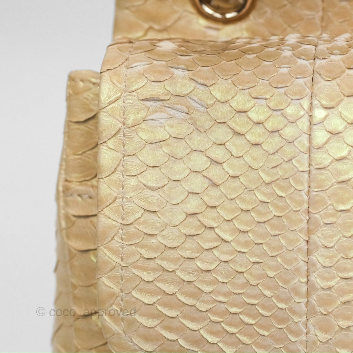 Chanel Jumbo Double Flap Iridescent Gold Python Gold Hardware⁣⁣