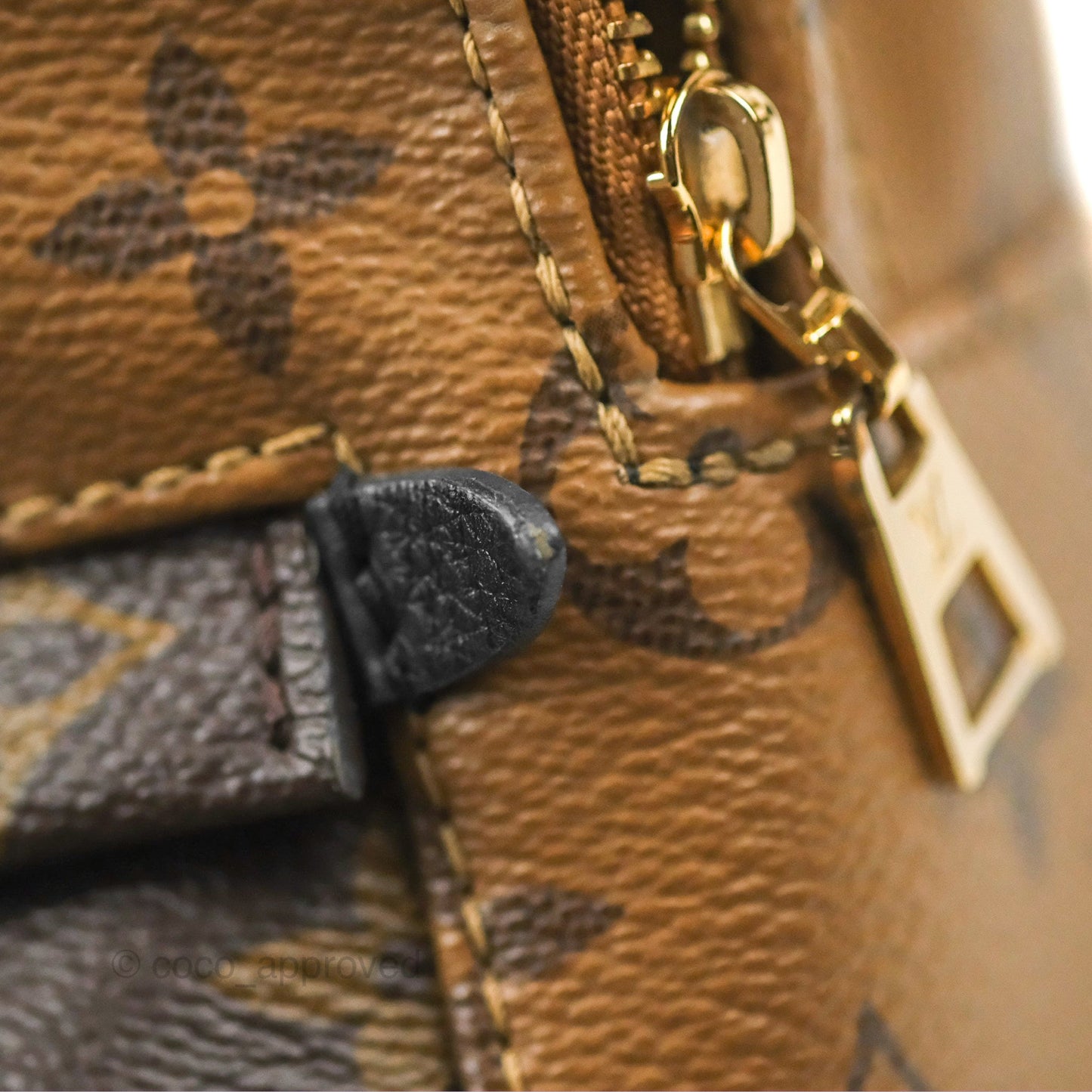 Louis Vuitton Reverse Mini Palm Springs Backpack⁣