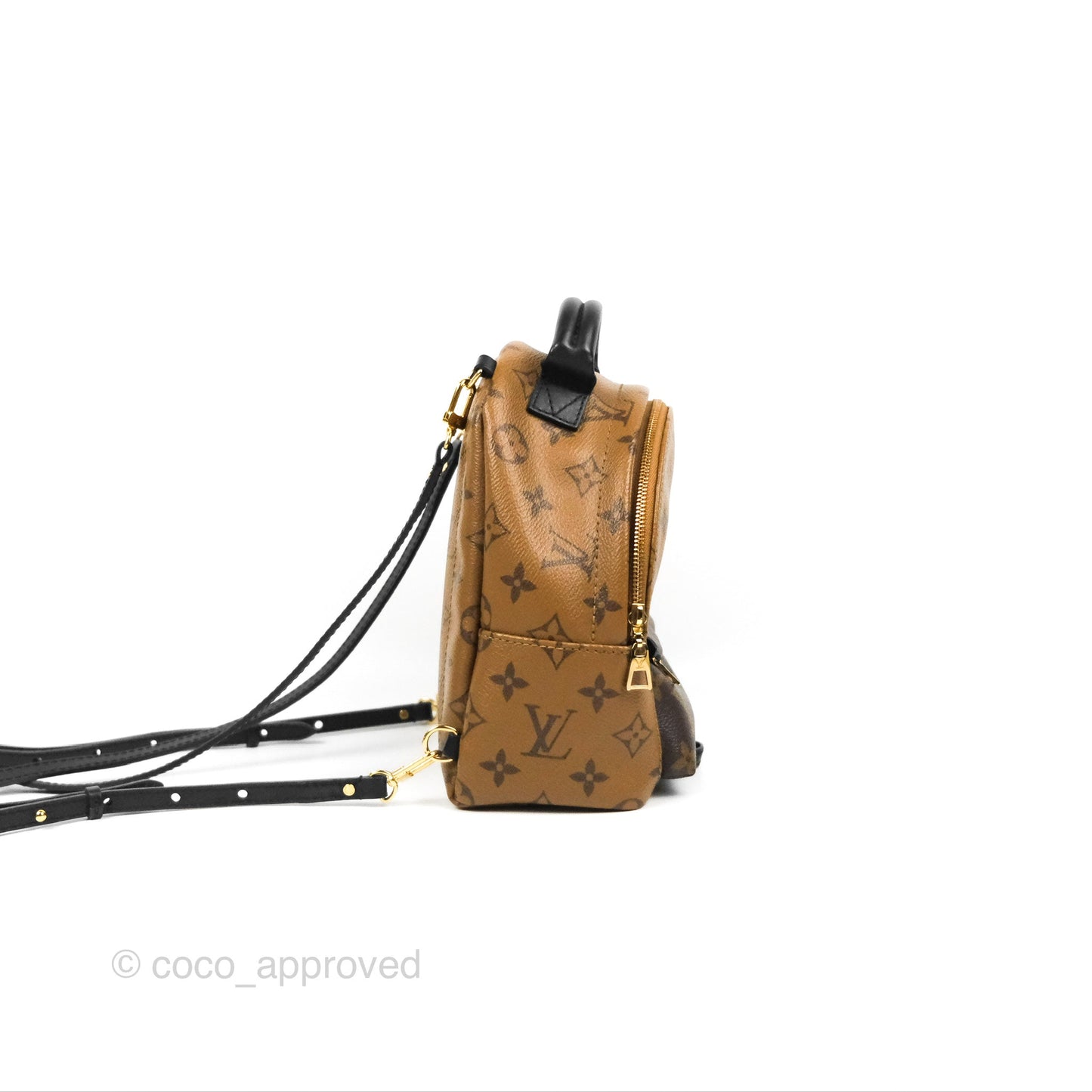 Louis Vuitton Reverse Mini Palm Springs Backpack⁣