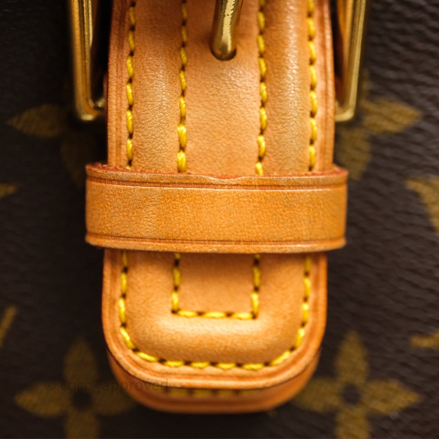 Louis Vuitton Multipli-Cite Tote Monogram Canvas