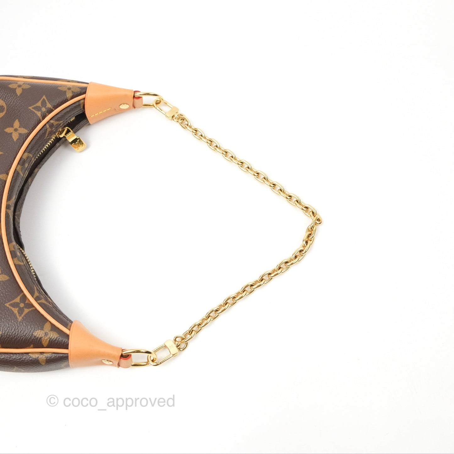 Louis Vuitton Loop Monogram Canvas