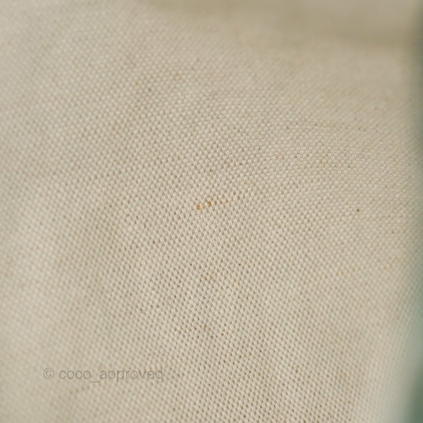 Goyard Bohème Hobo Bag Green Goyardine Canvas