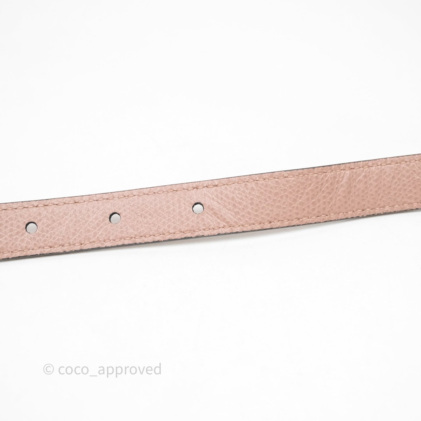 Christian Dior Saddle Belt Pouch Dusty Pink Matte Calfskin Gold Hardware