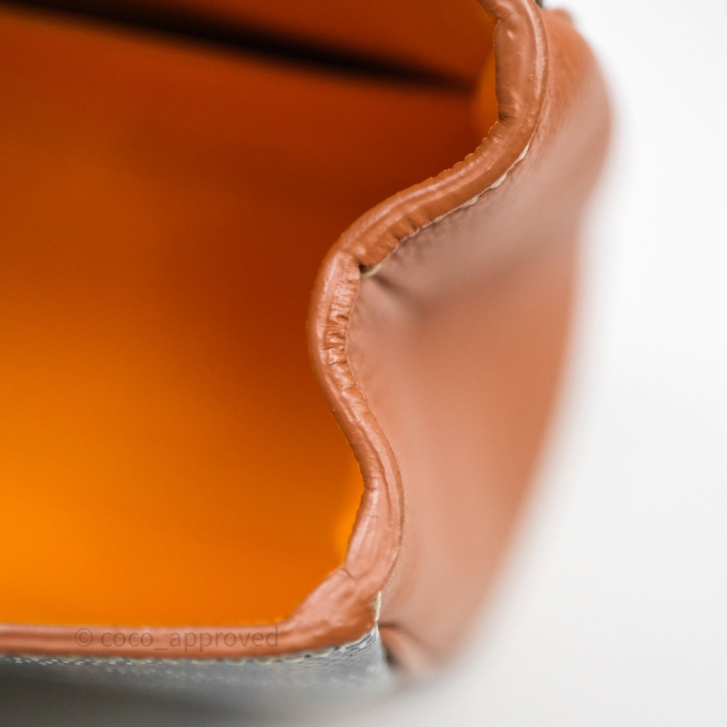 Goyard Saïgon Mini Bag Tan Goyardine Canvas/Chevroches Calfskin