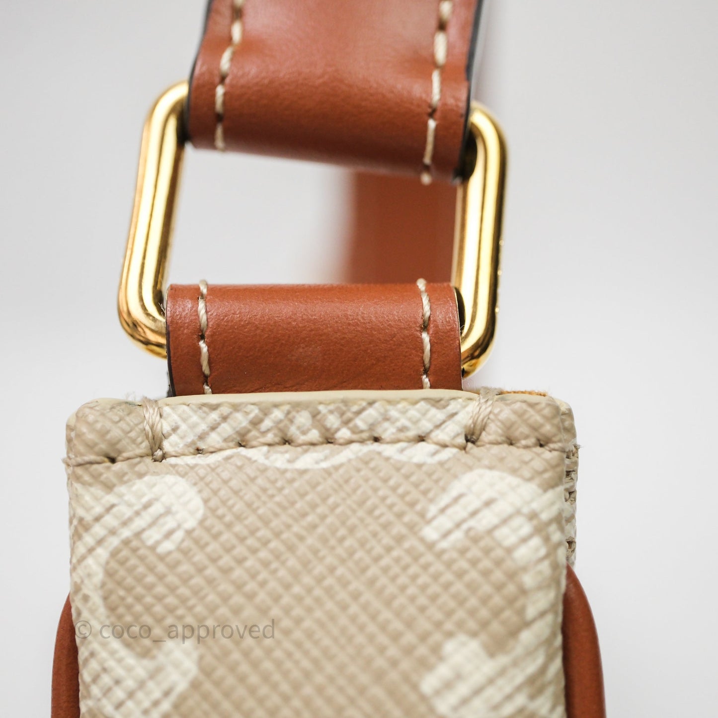 Celine Ava Bag In Triomphe Canvas Calfskin Grege