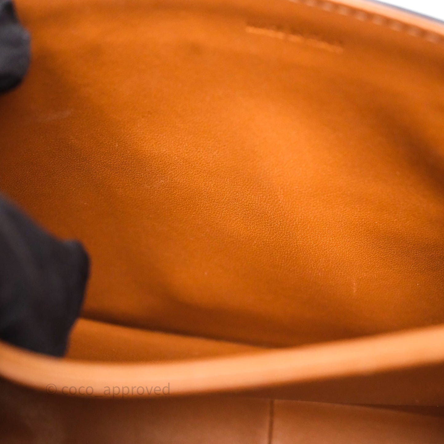 Celine Teen Triomphe Bag Triomphe Canvas Tan Calfskin