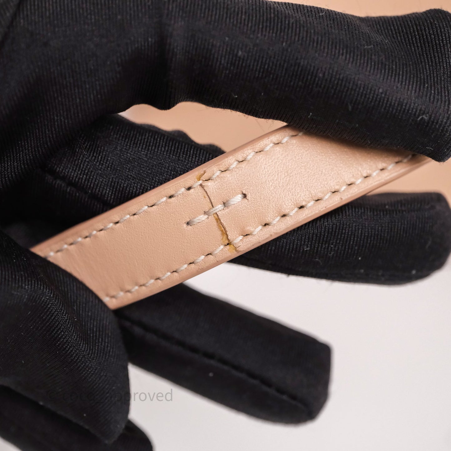 Loro Piana Extra Bag L27 Dark Pink Gold Hardware