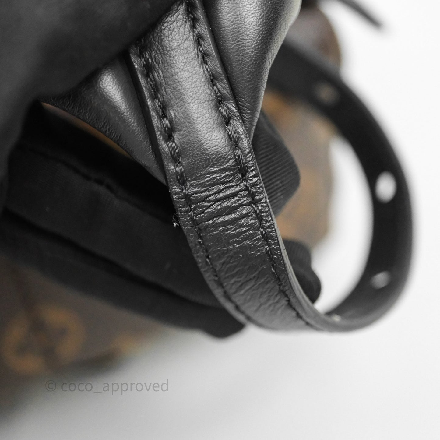Louis Vuitton Palm Springs Backpack⁣ Monogram PM