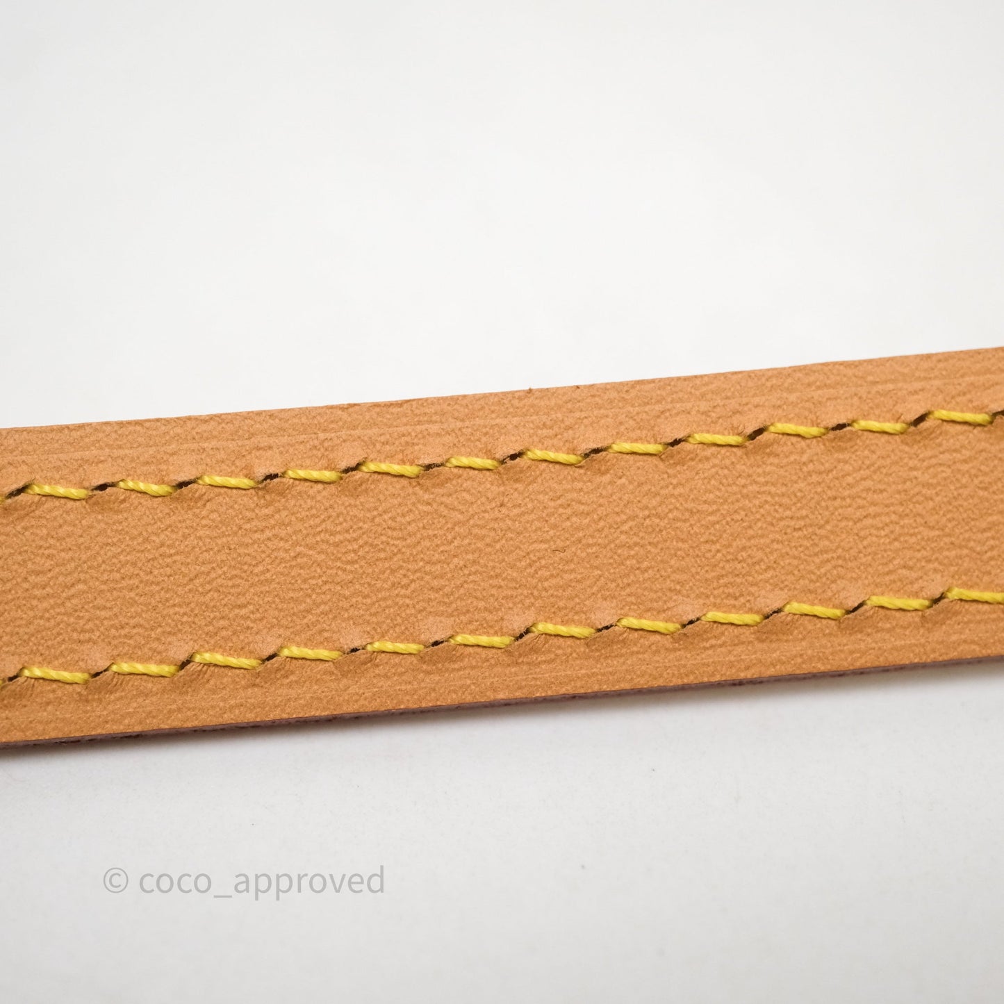 Louis Vuitton Nano Speedy Monogram
