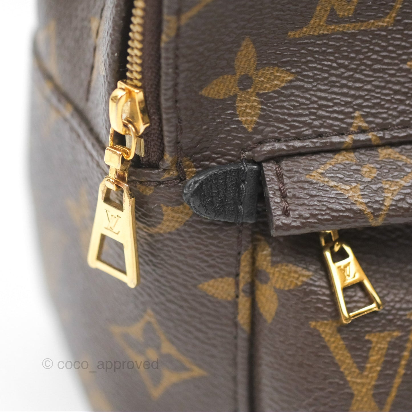 Louis Vuitton Mini Palm Springs Backpack⁣ Monogram