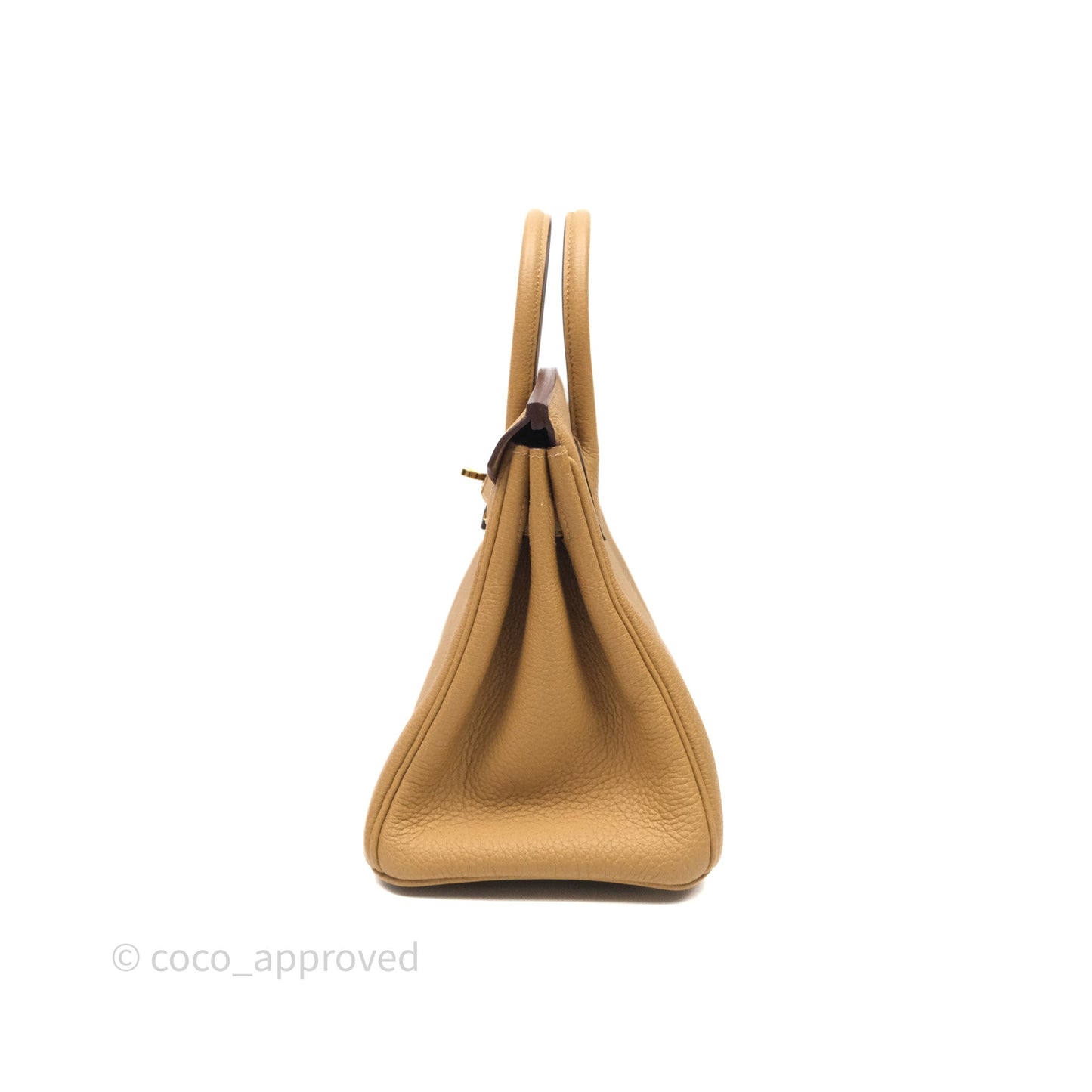 Hermès Birkin 25 Retourne Biscuit 4B Togo Gold Hardware