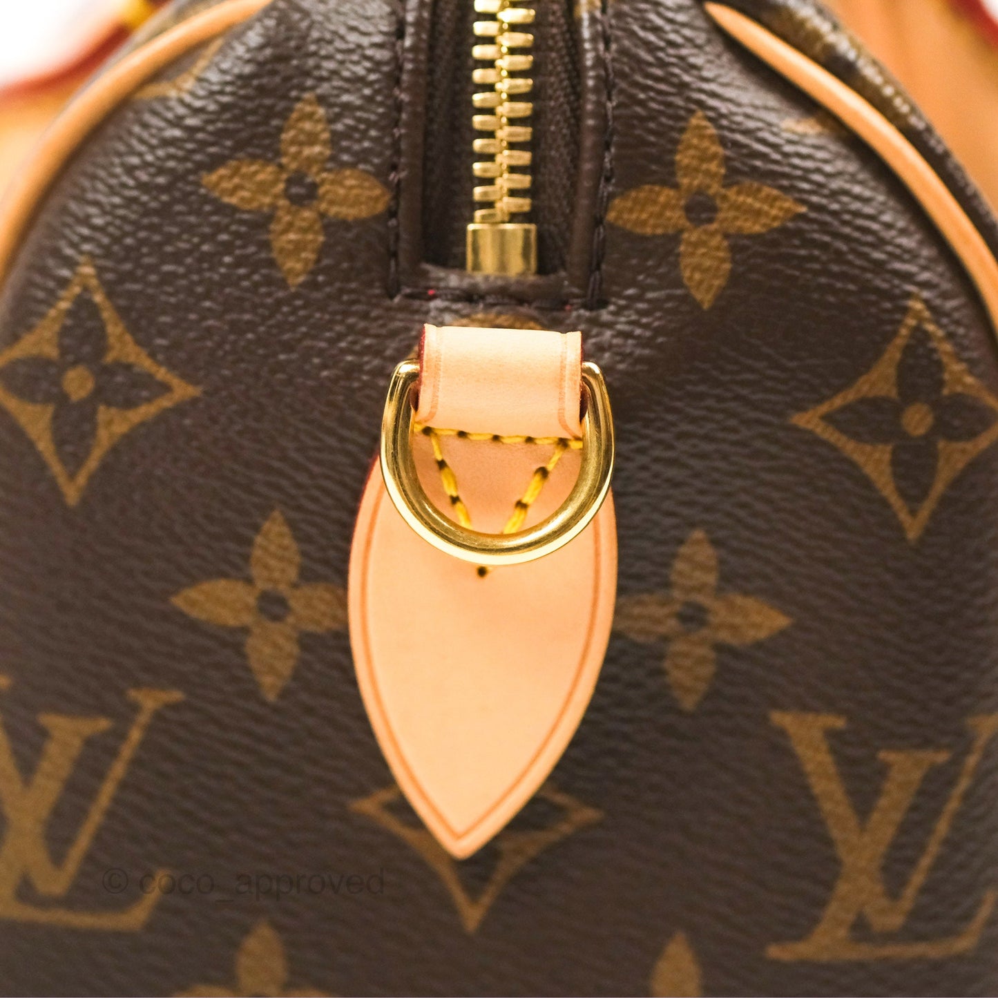 Louis Vuitton Speedy Bandoulière 20 Monogram