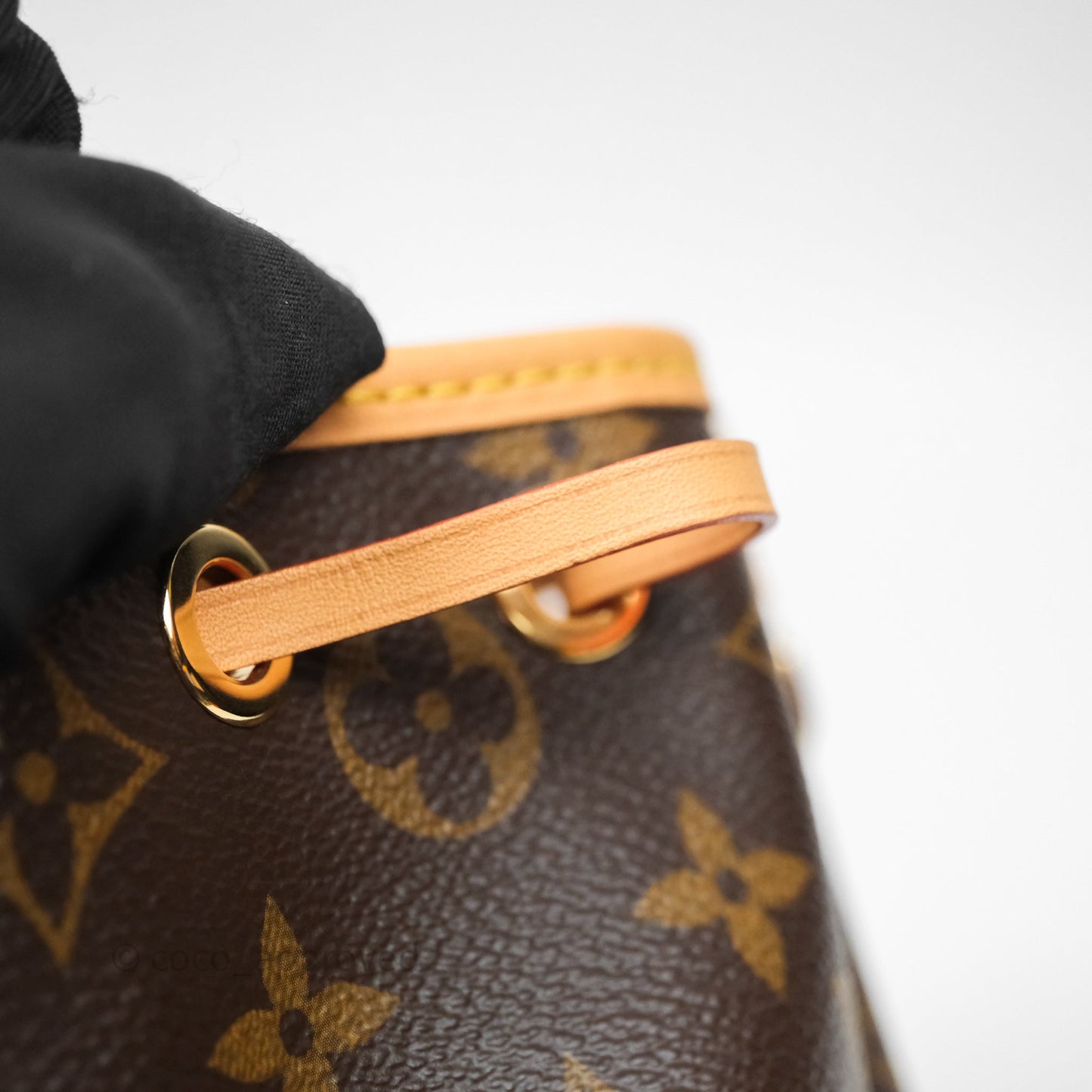 Louis Vuitton Nano Noe Monogram Canvas