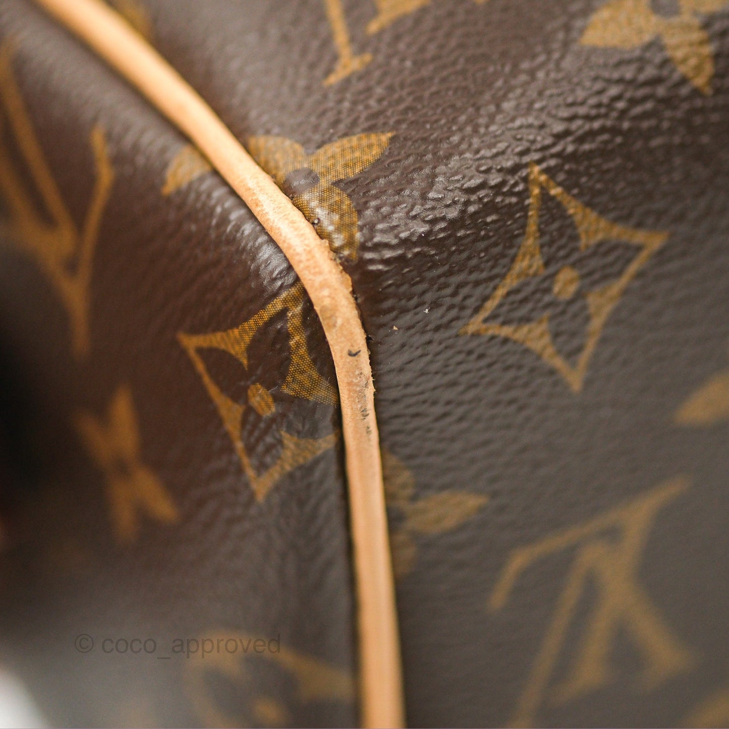 Louis Vuitton Speedy Bandoulière 20 Monogram